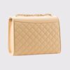 Female Hand Bag